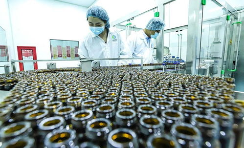 科技賦能植物工廠 張掖農(nóng)特產(chǎn)品提質(zhì)增效的新引擎